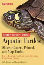 Aquatic turtles reptile for sale  UK