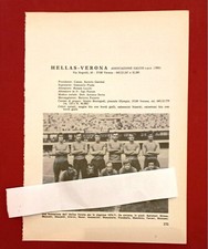 Hellas verona squadra usato  Caserta
