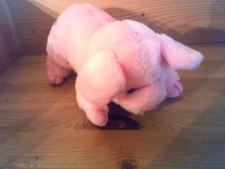 Kuscheltier plüsch schweinche gebraucht kaufen  Hannover