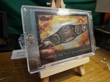 Tag team championship d'occasion  Rouen-