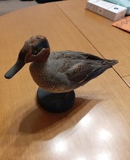 Tassidermia uccello imbalsamat usato  Arcisate