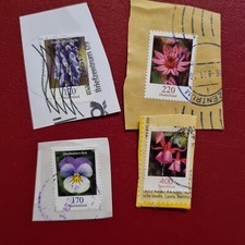 fuchsien gebraucht kaufen fuchsien gebraucht kaufen Gedern