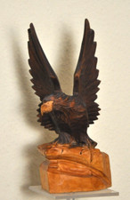 Steinadler geöffneten schwing gebraucht kaufen  Kassel