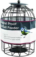Wild bird caged for sale  SWINDON