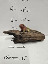 Vivarium bearded dragon for sale  THORNTON-CLEVELEYS