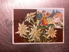Edelweiss fleurs alpes d'occasion  Beaumont-de-Lomagne