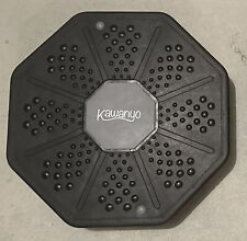Kawanyo balanceboard wackelbre gebraucht kaufen  Korschenbroich