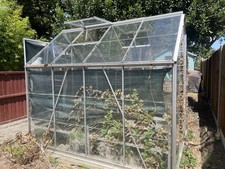 6ft 8ft green for sale  STAINES-UPON-THAMES