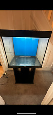 Juwel aquarium fish for sale  LONDON