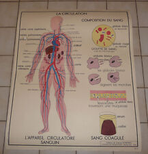 Affiche scolaire vintage d'occasion  Villefranche-sur-Saône