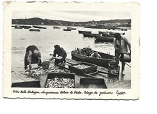 Locququemeau fishing return d'occasion  Expédié en Belgium