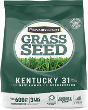 Kentucky tall fescue for sale  Philadelphia