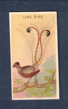 lyre for sale  Pike Road