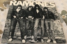 Ramones omonimo 1976 usato  Voltago Agordino