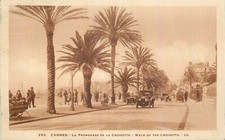 Cannes 25706 d'occasion  Vasles