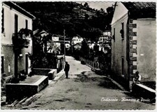 Codiponte massa rimessa usato  Bari