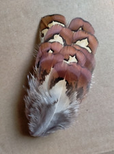 Fly tying native for sale  UK