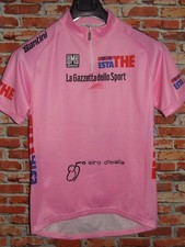 Rosa giro santini usato  Ercolano