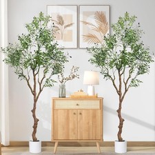 Kmise faux olive for sale  San Francisco
