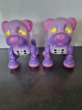 Pair zoomer zuppies for sale  WARRINGTON