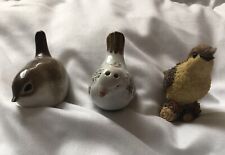 Collection small bird for sale  MIDDLESBROUGH