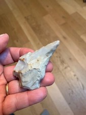 Magnifique perçoir néolithiq d'occasion  Souppes-sur-Loing