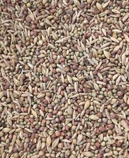 Erosion control seed for sale  High Point