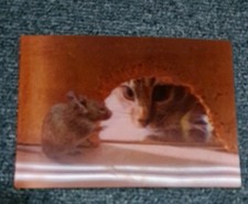 Tolle tier postkarte gebraucht kaufen  Hamburg
