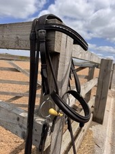 John whitaker pony for sale  BRIDGWATER