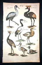Merian crane pl.54 d'occasion  Paris-