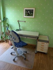 Moll schreibtisch inkl gebraucht kaufen  Walldorf