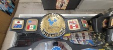 Championship belt wrestling for sale  Burton