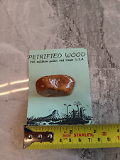 Petrified wood utah for sale  LEEDS