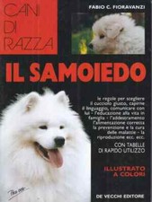 Cani razza samoiedo usato  Italia
