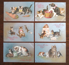 Wildt kray cat for sale  NEWCASTLE