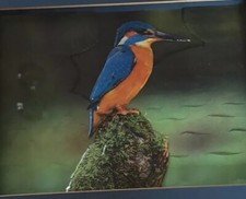 decoupage prints for sale decoupage prints for sale CHIPPENHAM