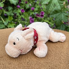 Tcm schwein ferkel gebraucht kaufen  Neustrelitz-Umland