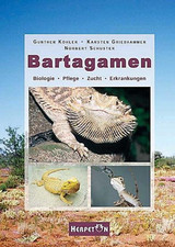 Bartagamen zustand gebraucht kaufen  Berlin