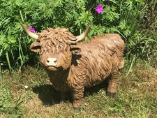 Large highland cow for sale  RUISLIP
