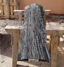 Mooreiche moorholz 4000 gebraucht kaufen  Grasberg
