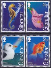 Gibilterra 2001 acqua usato  Italia