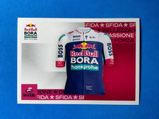 Figurine panini sticker usato  Italia