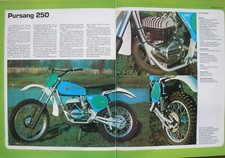 Pursang 250 sherpa usato  Torino