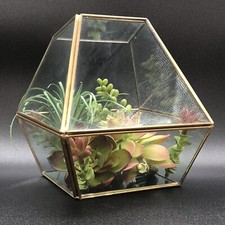 Brass glass terrarium for sale  Mount Pleasant