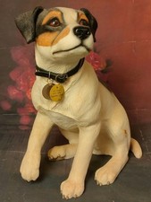 jack russell for sale jack russell for sale LEEDS
