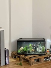 Eheim aquarium zubehör gebraucht kaufen  Pforzheim