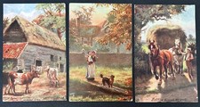Harry payne rural for sale  CLACTON-ON-SEA