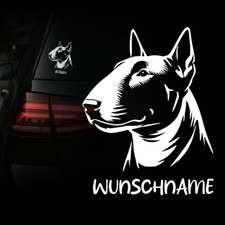 Bull terrier hund gebraucht kaufen  Köln