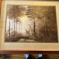 Gerald coulson art for sale  Oskaloosa