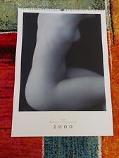 Calendario pirelli annie usato  Roma